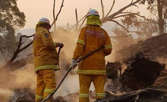 Firefighters team up to save Huon