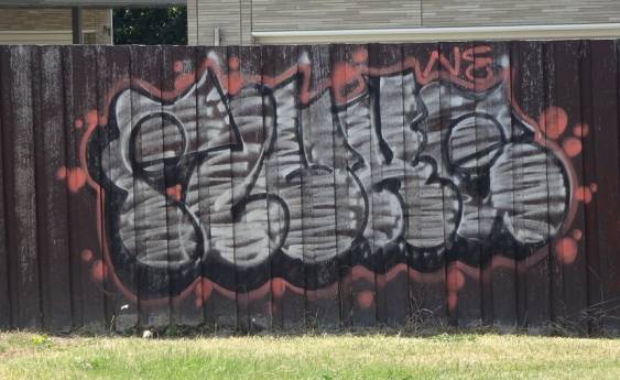 Kingston's graffiti investigation
