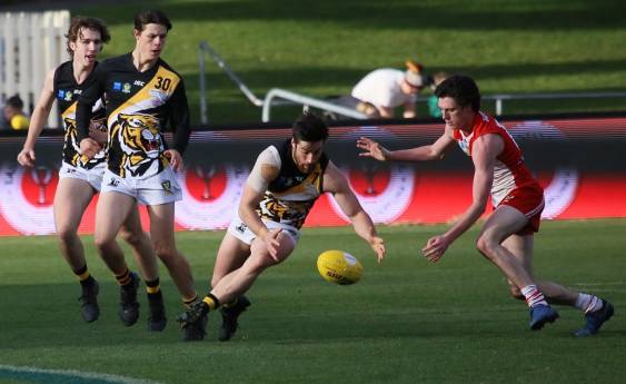 Tigers thrash Clarence by 55 points
