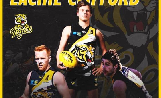 Tigers' leaders re-sign